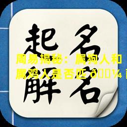 周易揭秘：属狗人和属鸡人是否匹 🌼 配